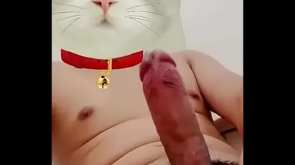 Quente O gato lascivo tubo total