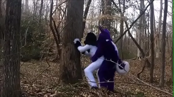 Gorąca Fursuit Couple Mating in Woods całkowita rura