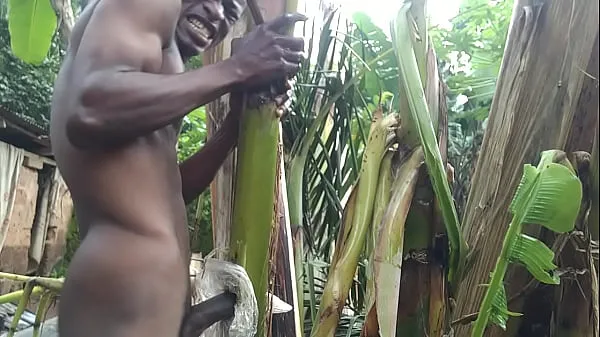 Caliente Follando árbol de plátano hasta correrse tubo total