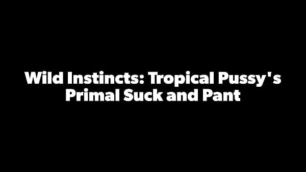 Caliente Tropicalpussy - actualización n.° 22 - Instintos salvajes: la mamada y el pantalón primarios de Tropical Pussy - 26 de diciembre de 2023 tubo total